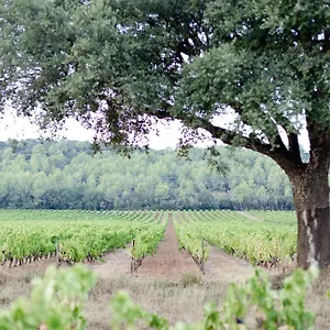 Domaine De Sigalous Hébergement de vacances